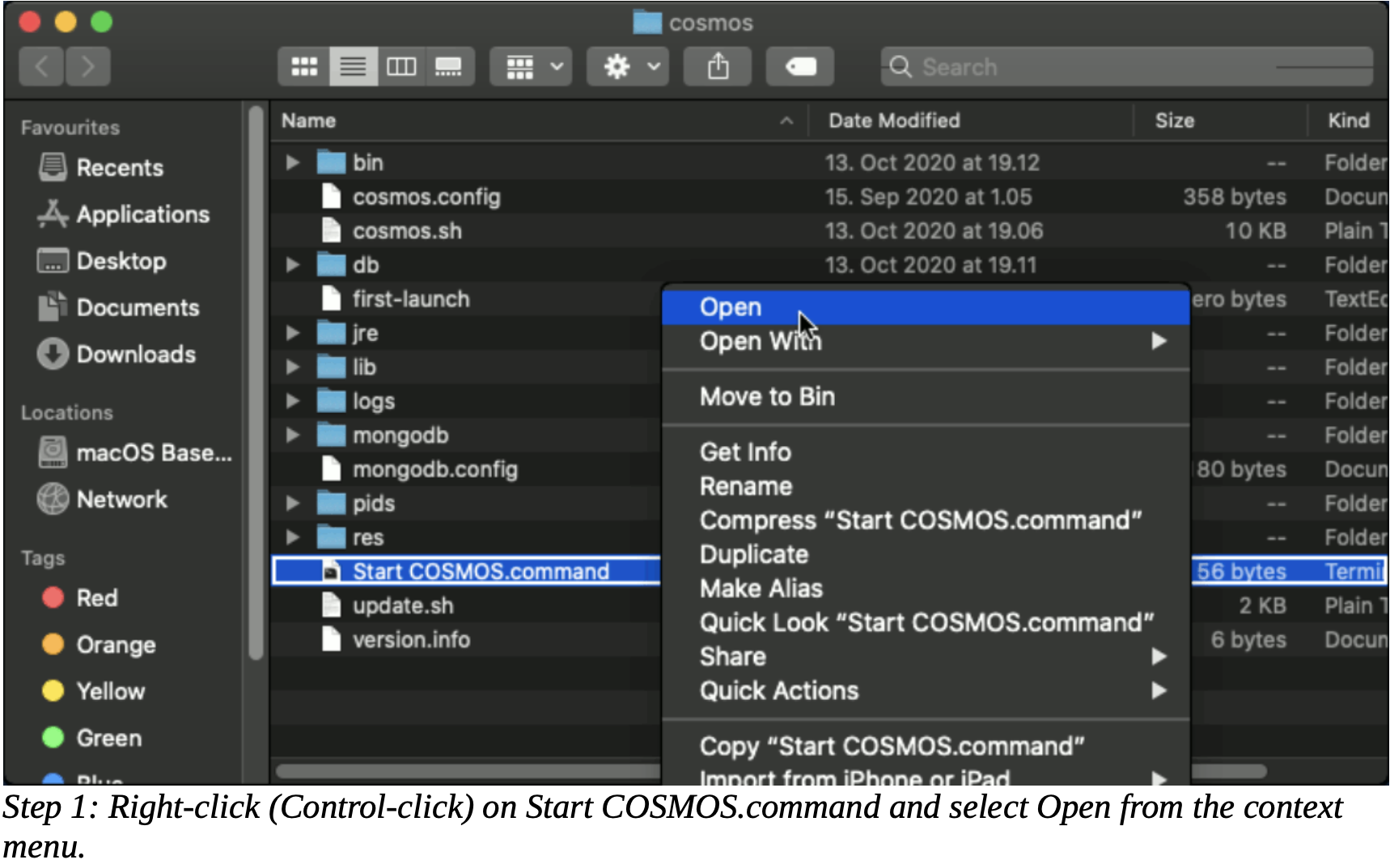 Parse Options
